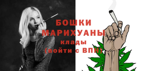 Альфа ПВП Бородино