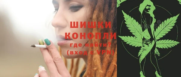 Альфа ПВП Бородино