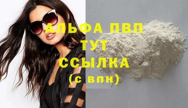 Альфа ПВП Бородино
