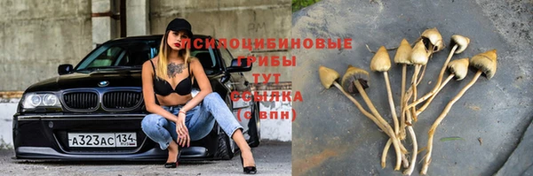МДПВ Всеволожск