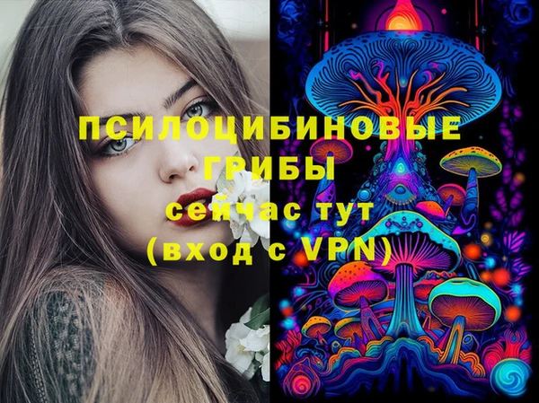 Альфа ПВП Бородино